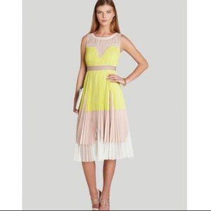 BCBGMaxAzria Lucea Color Block Pleated Dress 10